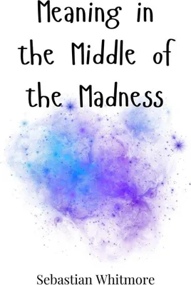 Produktbild von Meaning in the Middle of the Madness
