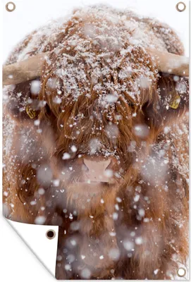 Produktbild von MuchoWow® 40x60 cm Outdoor-Poster Gartendeko Sichtschutz Garten Poster für den Garten  Schottischer Highlander - Hörner - Schnee