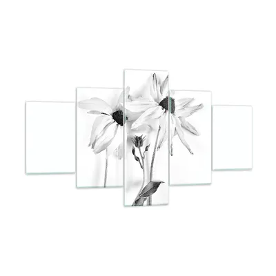 Produktbild von Bilder auf glas - 5 Teile - Verwelkt Blumen Monochrom - 125x70cm - Glasbilder - Wandbilder - Bilder - zum Aufhängen bereit - Wanddekoration aus Glas - Glas Bilder - Wandbild auf Glas - GEA125x70-4737