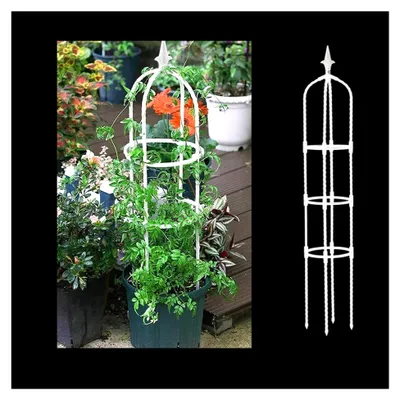 Produktbild von Garten Rankhilfe 110 cm für Kletterpflanzen und Gemüse