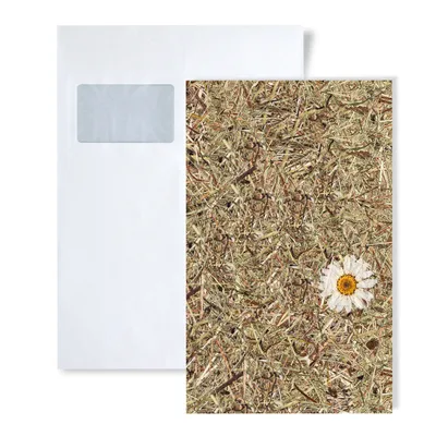 Immagine prodotto di 1 campione di pannello da parete S-AL-11004 WallFace ALPINE WHITE DAISY NATURAL Collection | Formato circa A4