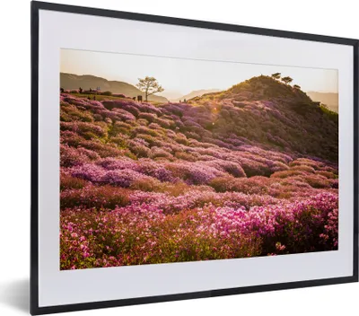 Produktbild von MuchoWow® MuchoWow® Gerahmtes Poster Hügelige Heidelandschaft 40x30 cm - Poster mit zchwarzem Bilderrahmen - Bilderrahmen - Poster im Rahmen