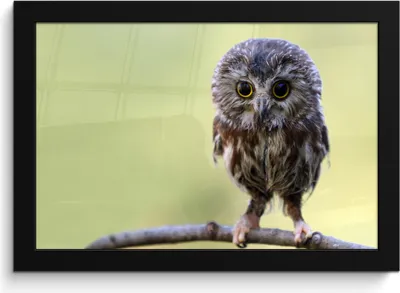 Produktbild von MuchoWow® MuchoWow® Gerahmtes Poster Eule - Vogel - Wald 30x20 cm - Poster mit zchwarzem Bilderrahmen - Kunstdruck - Bild-Poster