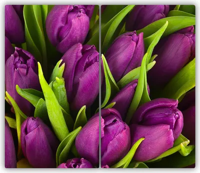 Produktbild von Tulup Glas-Herdabdeckplatte - 2x30x52cm - Glaskeramikkochfeld-Abdeckung Spritzschutz Zweiteilig Lila Tulpen
