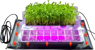Produktbild von Sukkulenten Anzuchtset 10W , 80 Löcher Pflanzbox mit LED Wachstumslampe, Timer, Vollspektrum