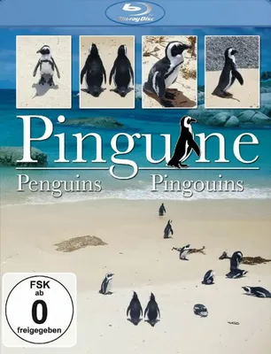 Produktbild von Various-Pinguine