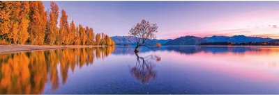 Produktbild von Clementoni Lake Wanaka Tree, 1000 Stück(e), 10 Jahr(e)