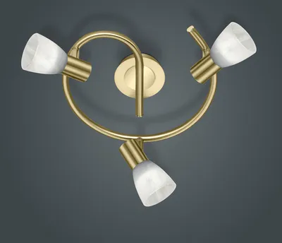 Zdjęcie produktu dla Lampa reflektor spot LEVISTO 871090308 Trio