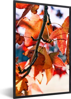 Produktbild von MuchoWow® Gerahmtes Poster Ahorn - Blätter - Rustikal - Herbst 40x60 cm - Poster mit Schwarzem Bilderrahmen Wandposter Rahmen Foto Bilder - Papierdruck - Wandbilder