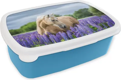 Produktbild von KitchenYeah® Lunchbox Brotzeit Brotdose 17x11 cm Pferd - Blumen - Lila Kinder Brotzeitdose - Lunch - Kunststoff  - Brotbüchse - Sandwichbox - Lunchbox für Kinder