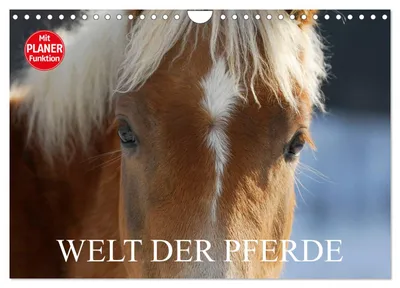 Produktbild von Welt der Pferde (Wandkalender 2027 DIN A4 quer), CALVENDO Monatskalender