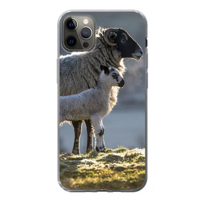 Produktbild von MuchoWow® Handyhülle Schutzhülle Hülle für iPhone 13 Pro Max Schaf - Lamm - Sonne Silikon Softcase Handy Hülle - Mobiltelefon