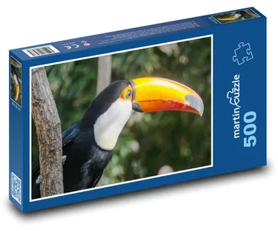 Zdjęcie produktu dla Puzzle 500 Kolorowy tukan w dżungli - martinpuzzle