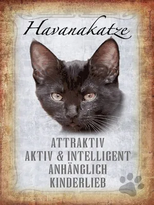 Produktbild von vianmo Holzschild 40x30 cm Havanakatze kinderlieb