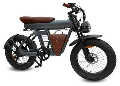 Productafbeelding van Diablo Fat Boy - Elektrische Fatbike - 20 inch - 250W motor - Actieradius tot 70 km - 7 versnellingen - Hydraulische schijfremmen - 749Wh accu - Grijs