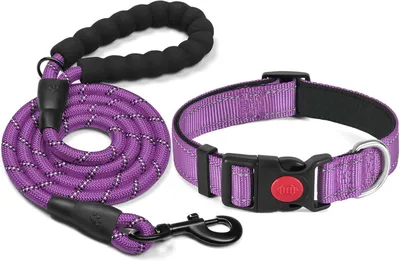 Produktbild von Reflektierendes Hundehalsband, Gepolstert Neopren, Verstellbar, Nylon, Für Kleine, Mittelgroße und Große Hunde