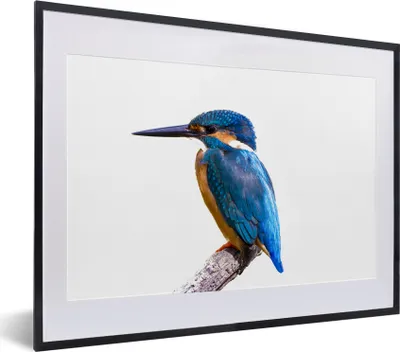 Produktbild von MuchoWow® MuchoWow® Gerahmtes Poster Eisvogel - Federn - Zweig - Blau 40x30 cm - Poster mit zchwarzem Bilderrahmen - Bilderrahmen - Poster im Rahmen