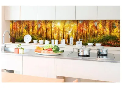 Obrázek produktu pro Dimex fototapeta do kuchyně KI-350-084 Slunečný les 60 x 350 cm
