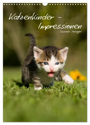 Produktbild von Katzenkinder - Impressionen (Wandkalender 2027 DIN A3 hoch), CALVENDO Monatskalender