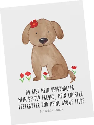 Produktbild von Mr. & Mrs. Panda Postkarte Hund Dame - Weiß - Geschenk, Hunde, Liebenswert, Liebe, Sprüche, Ansichtskarte, bildkarte, Niedlich, Grußkarte, Postkarten, Hundeliebe
