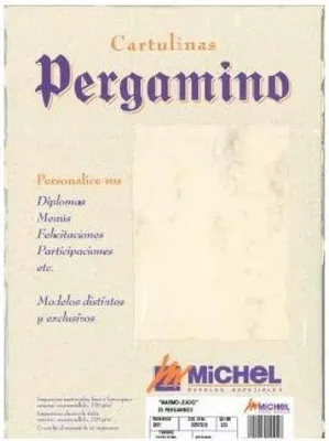 Zdjęcie produktu dla Michel die-cut vellum 200gr a4 pack 25u beige