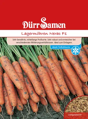 Produktbild von Lagermöhre Nerac F1 | Lagermöhrensamen von Dürr Samen