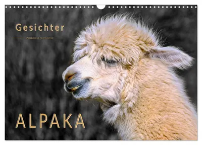 Productafbeelding van Alpaca-gezichten (wandkalender 2027, formaat A3 liggend), CALVENDO maandkalender