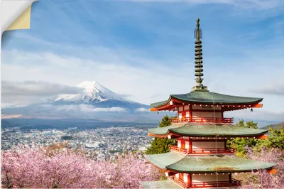 Produktbild von ARTland Wandbild, selbstklebend Fuji mit Chureito Pagode zur Kirschblüte Größe: 90x60 cm