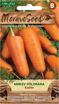 Obrázek produktu pro Mrkev karotka poloraná KATRIN 63709