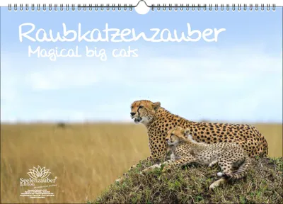 Produktbild von Raubkatzenzauber DIN A3 Immerwährender Kalender verschiedene Raubkatzen - Seelenzauber