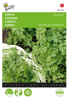 Produktbild von Buzzy Seeds Kerbel Gewone Kräutersamen - 1 Saatgutbeutel