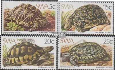 Produktbild von Briefmarken Namibia - Südwestafrika 1982 Mi 516-519 (kompl.Ausg.) FDC Schildkröten