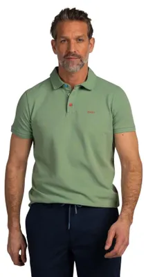 Produktbild von Grünes Poloshirt mit kurzen Ärmeln, normaler Passform und 3-Knopf-Verschluss aus Baumwolle
