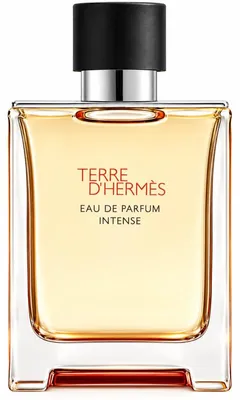 Produktbild von Hermes Terre d'Hermès Intense