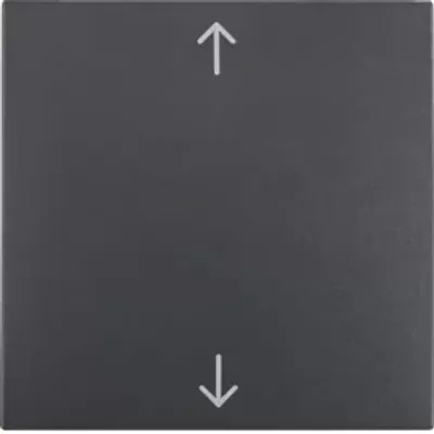 Obrázok produktu pre Berker 16201616, Rocker, Antracit, Termoplastik, S.1/B.3/B.7, 10 kusov