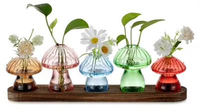 Produktbild von Pilz Vase für Pflanzenvermehrung: Kleine Glasvasen mit Holzständer - Bunte Mini-Glasvasen für Wohnraum, Büro und Tischdekoration - Set von 5 Blumenvasen für Hydrokultur