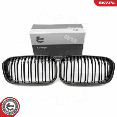 Obrázok produktu pre ESEN SKV 66SKV318 Mriežka chladiča Predná mriežka pre BMW 1 hatchback (F20) Karbón