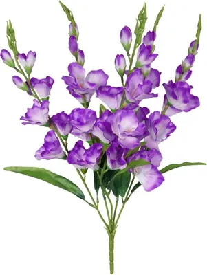 Obrázok produktu pre Kytica 5 fialových gladiol vysoká 60 cm