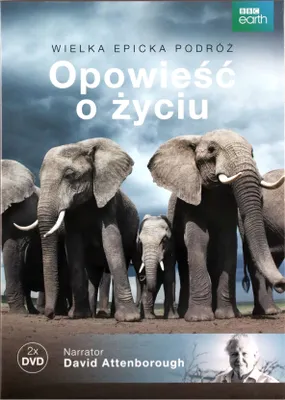 Produktbild von Überleben (nur Originalversion) [DVD]