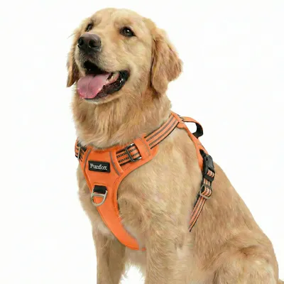 Hundegeschirr für große Hunde, verstellbar, atmungsaktiv, L orange