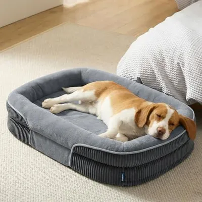 Produktbild von orthopädisches Hundebett mittelgroße Hunde, 89x64x18cm, grau | 360° ovales Hundesofa mit erhöhtem Rand für Senioren, wasserdichter und waschbarer Bezug, aus ultraweichem Fleece, stützendes