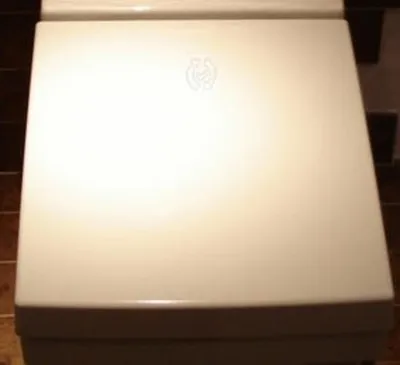 A close-up, top-down view of a closed toilet seat.