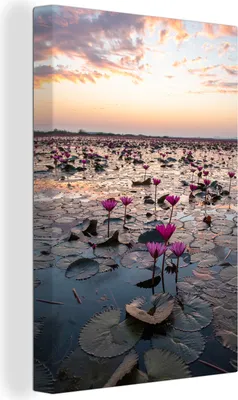 Produktbild von MuchoWow® - Leinwandbilder - Meer - Lotus - Thailand, Wandbild, Wanddeko Bilder Wohnzimmer, 60x90cm
