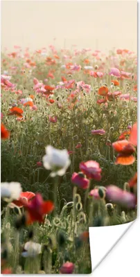 Produktbild von MuchoWow® Poster Mohn - Farben - Pastell 20x40 cm - Plakat - Foto
