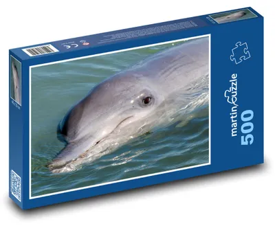 Zdjęcie produktu dla Puzzle 500 Delfin na powierzchni morza - martinpuzzle