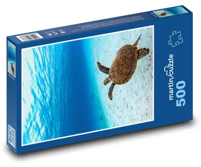Zdjęcie produktu dla Puzzle 500 Mořská želva - martinpuzzle