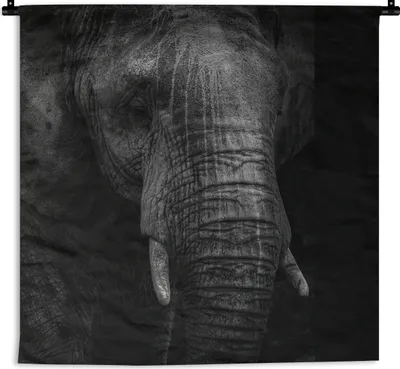 Produktbild von MuchoWow® Wandteppich Wandbehang Elefant - Tier - Schwarz 150x150 cm Tapisserie Dekoration Wandtuch - Wohnaccessoires - Modernes