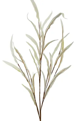 Immagine prodotto di Set DRW composto da 6 foglie artificiali realizzate in schiuma di EVA, plastica e carta bianca, alte 90 cm. Dimensioni: 90 cm