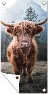 Produktbild von MuchoWow® 30x60 cm Outdoor-Poster Gartendeko Sichtschutz Garten Poster für den Garten  Schottischer Highlander - Berg - Tier