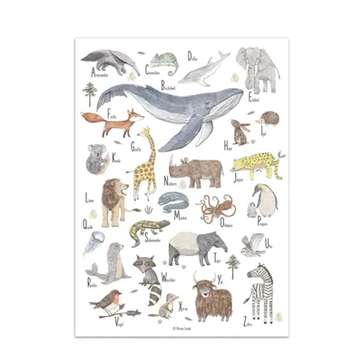Produktbild von scriptum Poster ABC Tiere Deutsch – Lernposter Kinderzimmer 50x70 cm – Alphabet Wandbild für Kinderzimmer – Premium Papier - 200g